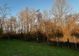 Tract 3 - The Woods at Dutch Ridge property photo