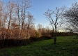 Tract 3 - The Woods at Dutch Ridge property photo