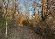 Tract 3 - The Woods at Dutch Ridge property photo
