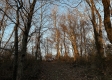 Tract 3 - The Woods at Dutch Ridge property photo