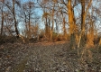 Tract 3 - The Woods at Dutch Ridge property photo