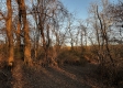 Tract 3 - The Woods at Dutch Ridge property photo