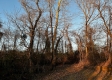 Tract 3 - The Woods at Dutch Ridge property photo