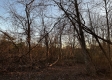 Tract 3 - The Woods at Dutch Ridge property photo