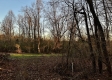 Tract 3 - The Woods at Dutch Ridge property photo