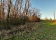 Tract 3 - The Woods at Dutch Ridge property photo