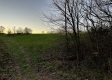 Tract 3 - The Woods at Dutch Ridge property photo