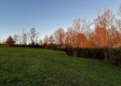 Tract 3 - The Woods at Dutch Ridge property photo