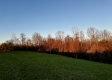 Tract 3 - The Woods at Dutch Ridge property photo