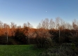 Tract 3 - The Woods at Dutch Ridge property photo