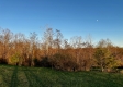 More of Tract 3 - The Woods at Dutch Ridge