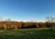 More of Tract 3 - The Woods at Dutch Ridge