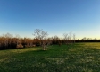 Tract 3 - The Woods at Dutch Ridge property photo
