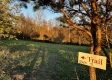 Tract 3 - The Woods at Dutch Ridge property photo