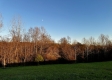 Tract 3 - The Woods at Dutch Ridge property photo