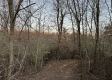 Tract 4 - The Woods at Dutch Ridge property photo