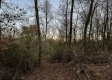 Tract 4 - The Woods at Dutch Ridge property photo