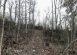 Tract 4 - The Woods at Dutch Ridge property photo