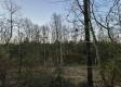 Tract 4 - The Woods at Dutch Ridge property photo
