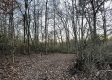 Tract 4 - The Woods at Dutch Ridge property photo