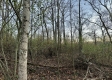 Tract 4 - The Woods at Dutch Ridge property photo