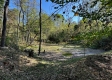More of Tract 4 - The Woods at Dutch Ridge
