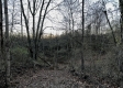 Tract 4 - The Woods at Dutch Ridge property photo
