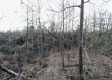 Tract 4 - The Woods at Dutch Ridge property photo