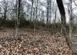 Tract 4 - The Woods at Dutch Ridge property photo