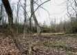 Tract 4 - The Woods at Dutch Ridge property photo