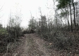 Tract 4 - The Woods at Dutch Ridge property photo