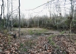 More of Tract 4 - The Woods at Dutch Ridge