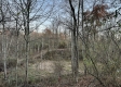 More of Tract 4 - The Woods at Dutch Ridge