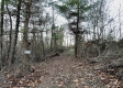 Tract 4 - The Woods at Dutch Ridge property photo