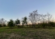 Tract 4 - The Woods at Dutch Ridge property photo