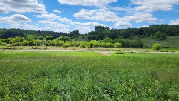 Tract 17 - Albany Woods property photo
