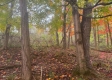 11505 McGrath Road property photo