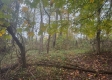 11505 McGrath Road property photo