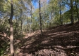 Garfield Carter Rd property photo