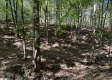 Garfield Carter Rd property photo