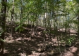 Garfield Carter Rd property photo
