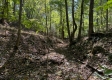 Garfield Carter Rd property photo