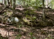 Garfield Carter Rd property photo