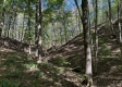Garfield Carter Rd property photo