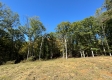 Garfield Carter Rd property photo