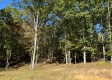 Garfield Carter Rd property photo