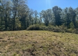 Garfield Carter Rd property photo