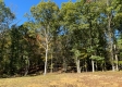 Garfield Carter Rd property photo