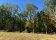 Garfield Carter Rd property photo