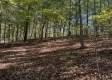 Garfield Carter Rd property photo
